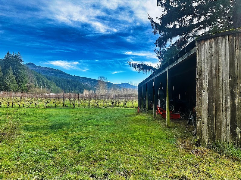 Boulton Vineyard and Cellars 2