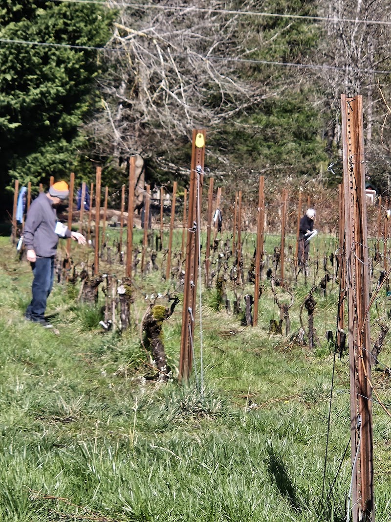 Boulton Vineyard and Cellars 4