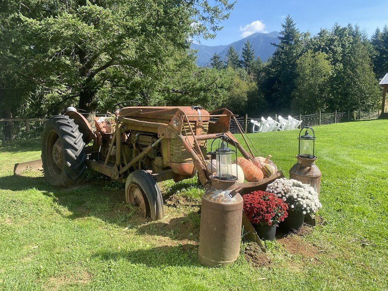 Chestnut Springs Cidery 3