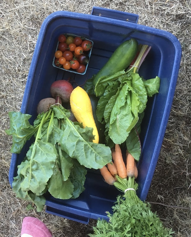 City’s Edge Farm 4
