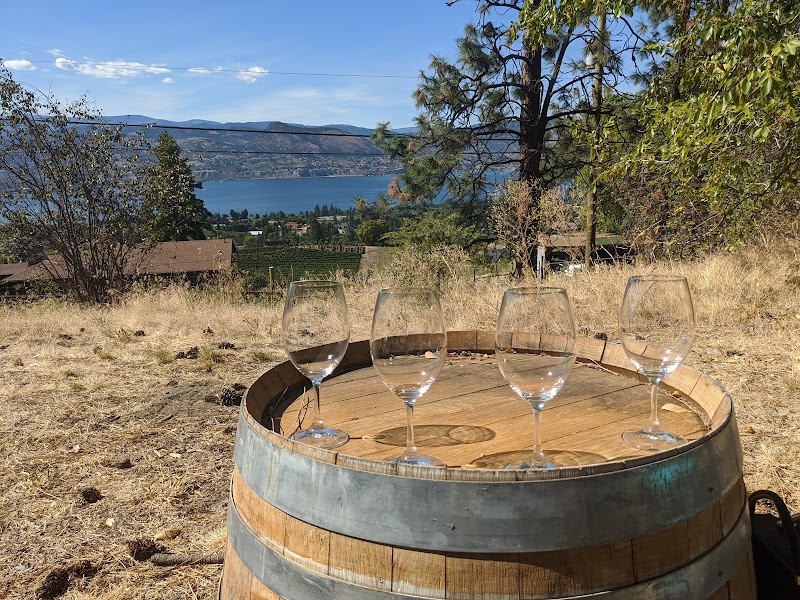 Daydreamer Wines 4
