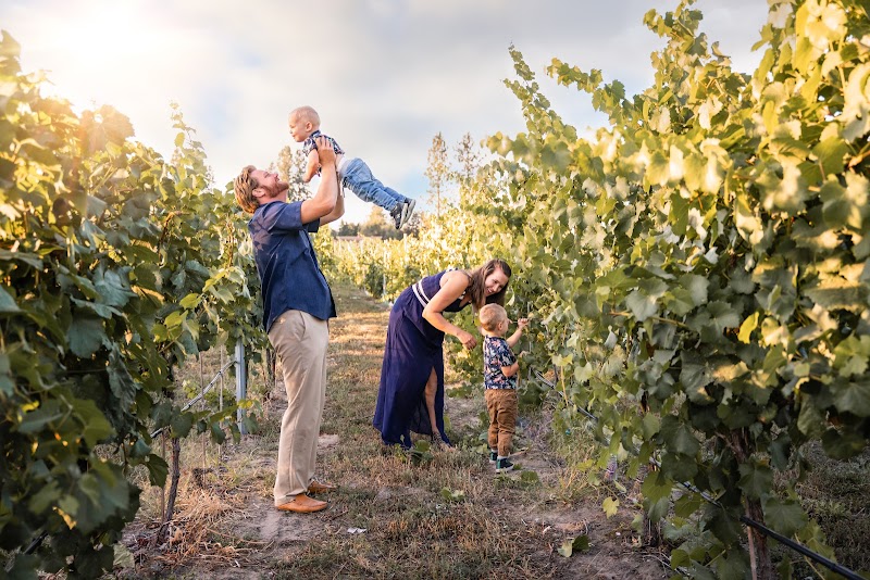 Hidden Vines Family Estate Winery 3