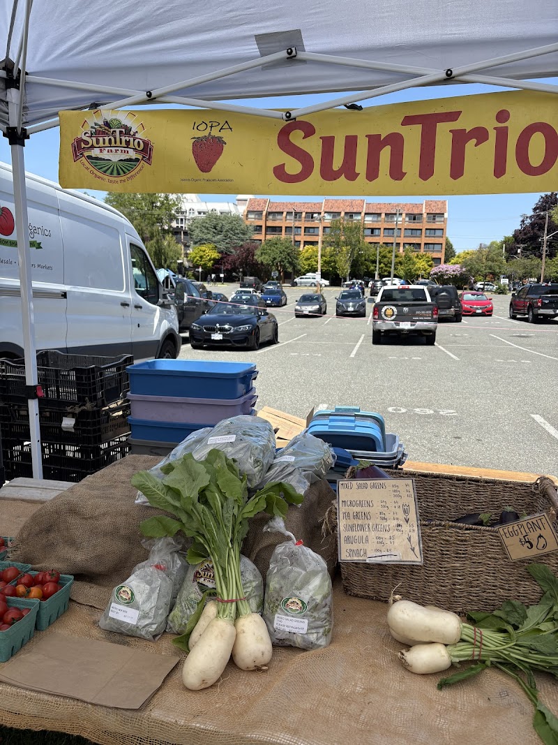 James Bay Market