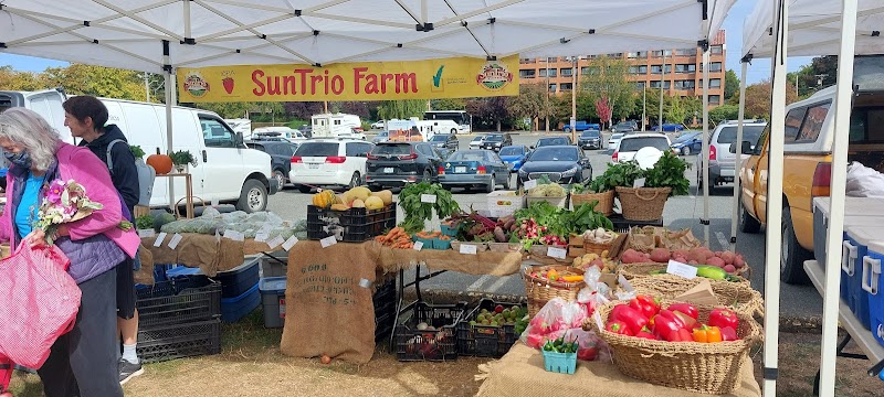 James Bay Market 3