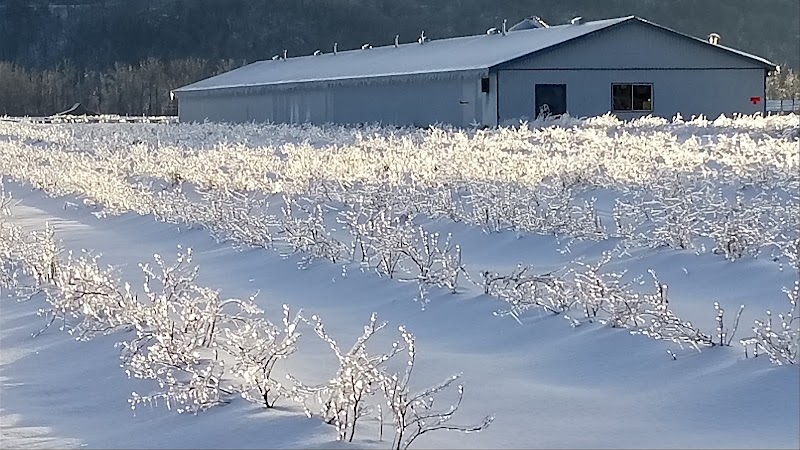 Kermode Wild Berry Winery 3
