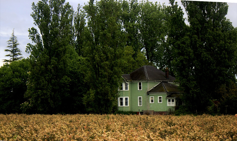 LeeBerry Farms 4