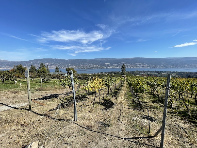 Lightning Rock Winery 2