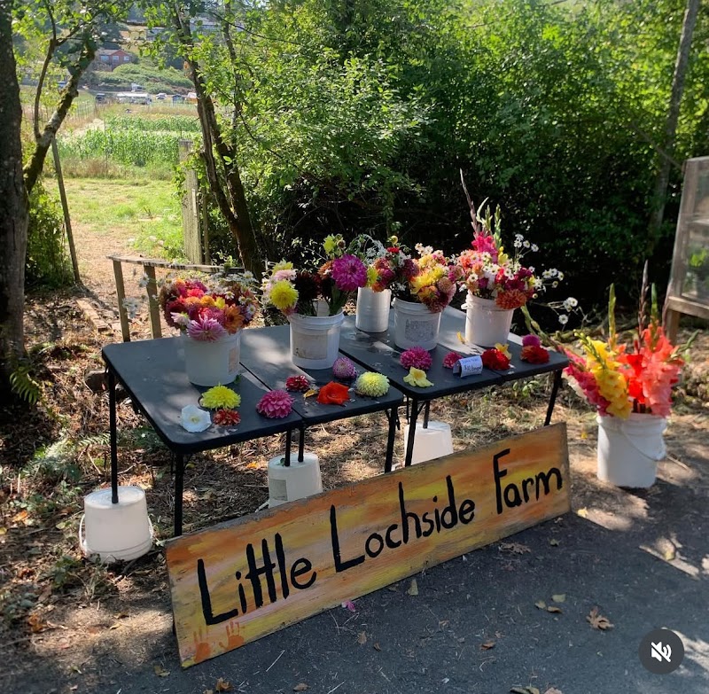 Little Lochside Farm 4