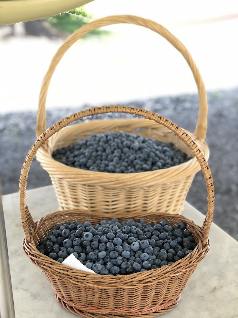 Mangat farms garlic and U-pick blueberries