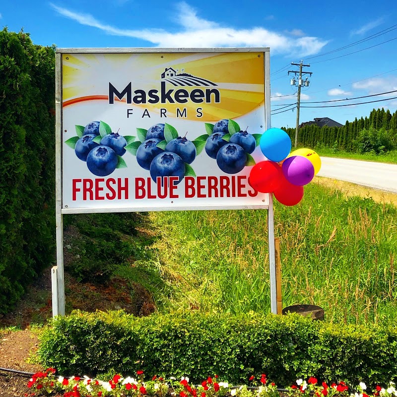 Maskeen Farms 4