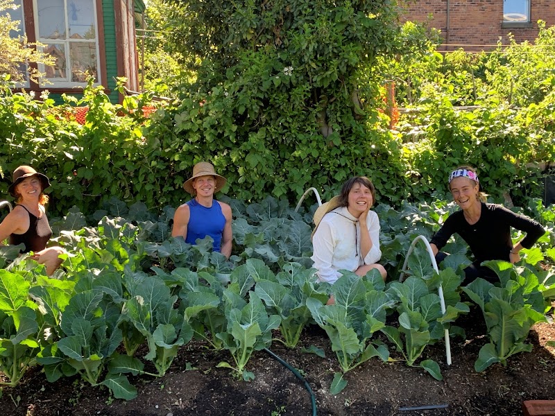 Mason Street City Farm (Balmoral Rd, Victoria, BC)