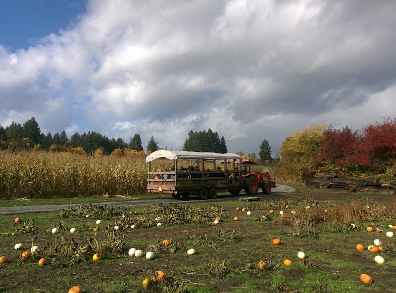 McNab's Produce Farm 2