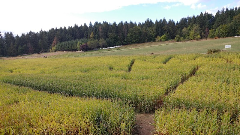 McNab's Produce Farm 3