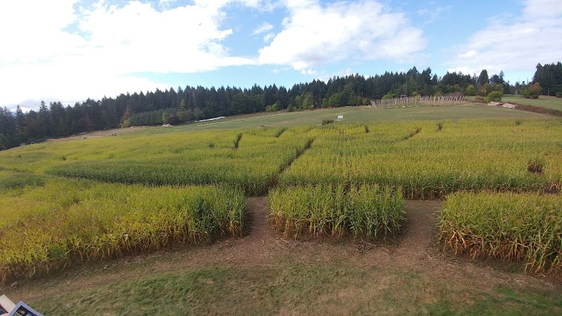 McNab's Produce Farm 4
