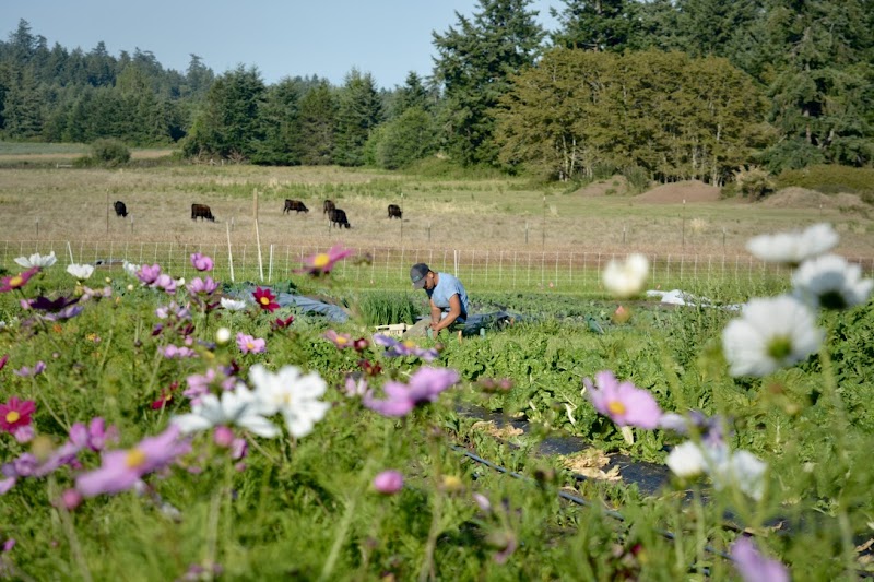 New Hannah Farm