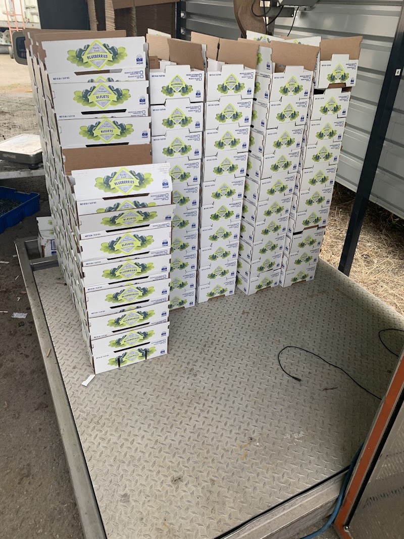 Okanagan Fruit stand 3