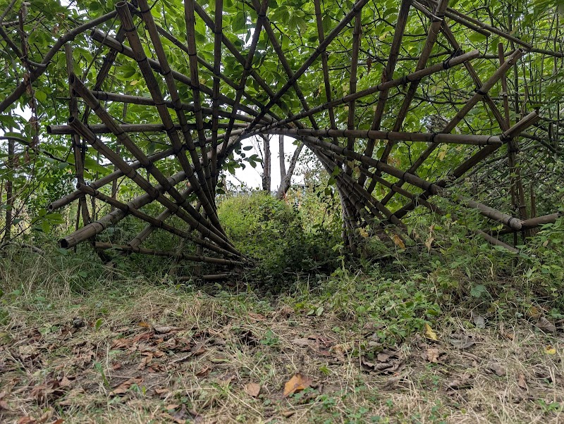 Orchard Garden