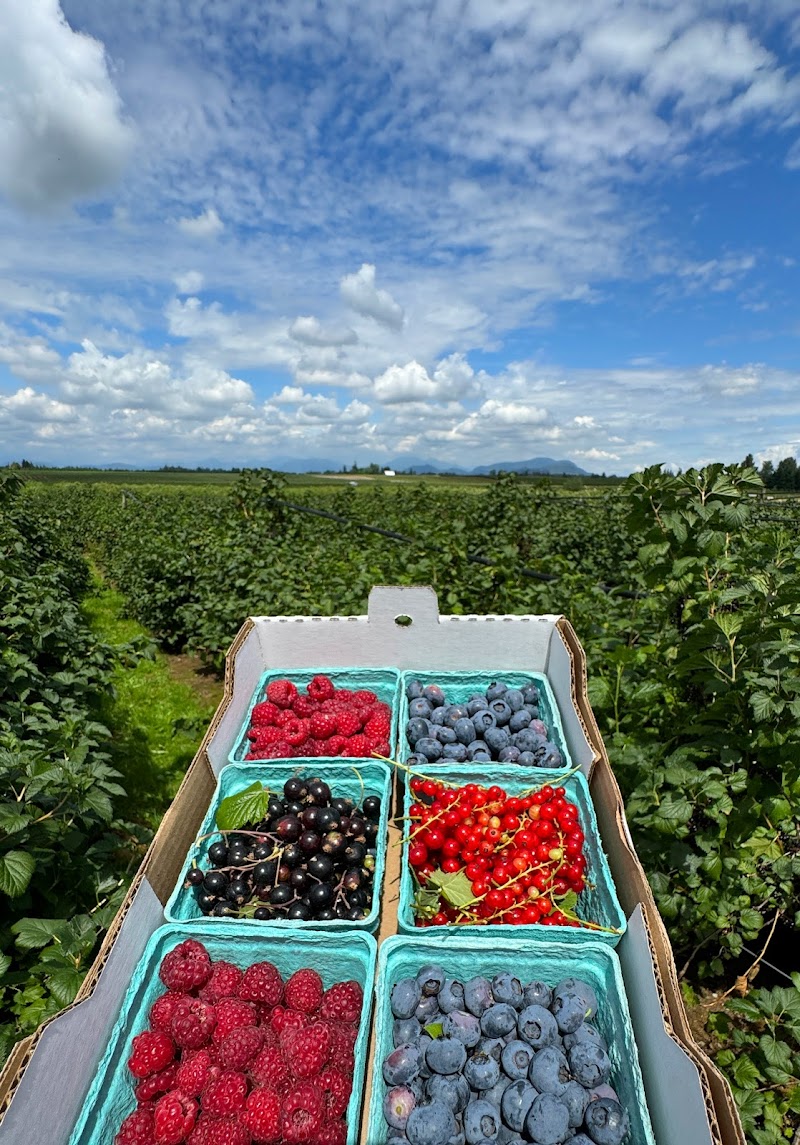 Pangborn Farms