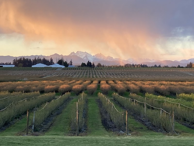 Pangborn Farms 4