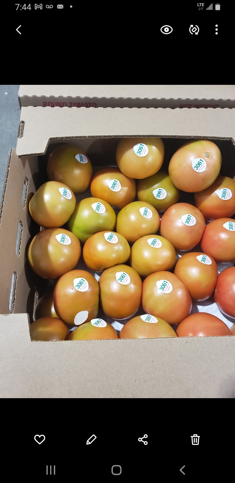 S & G Farms Ltd 5