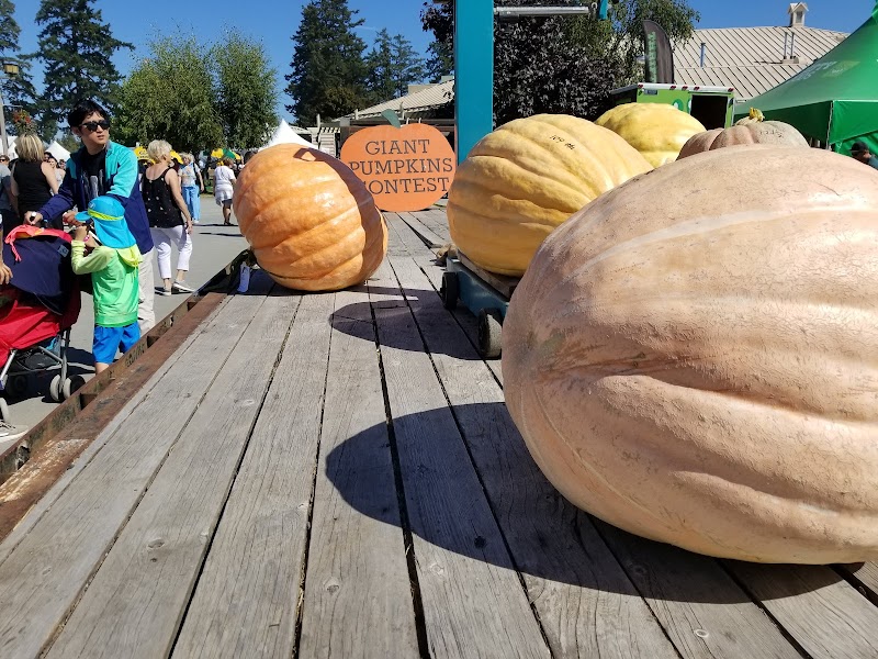 Saanich Fairgrounds 4