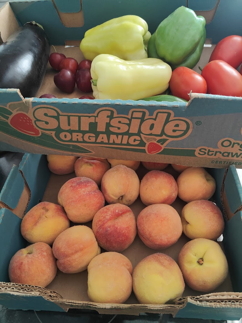 Sidhu Fresh Produce Ltd. 2