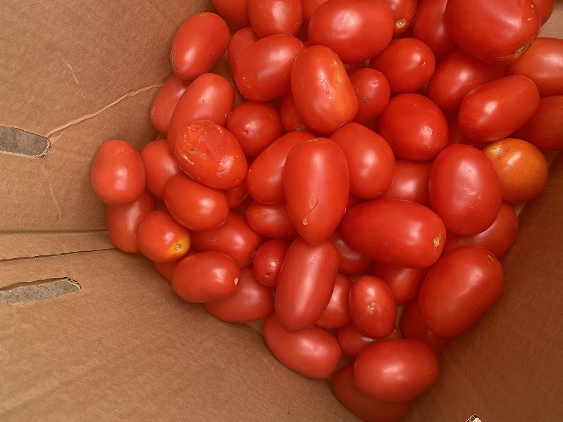 Sidhu Fresh Produce Ltd. 4