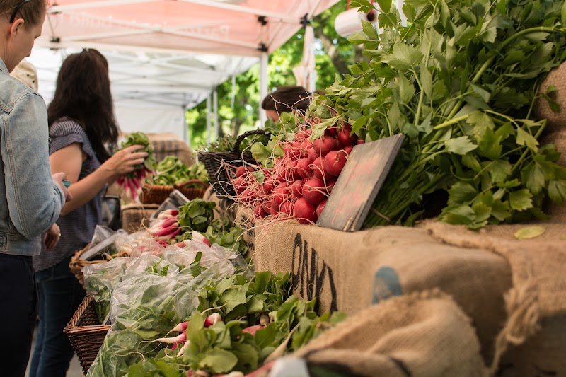Trout Lake Farmers Market 2