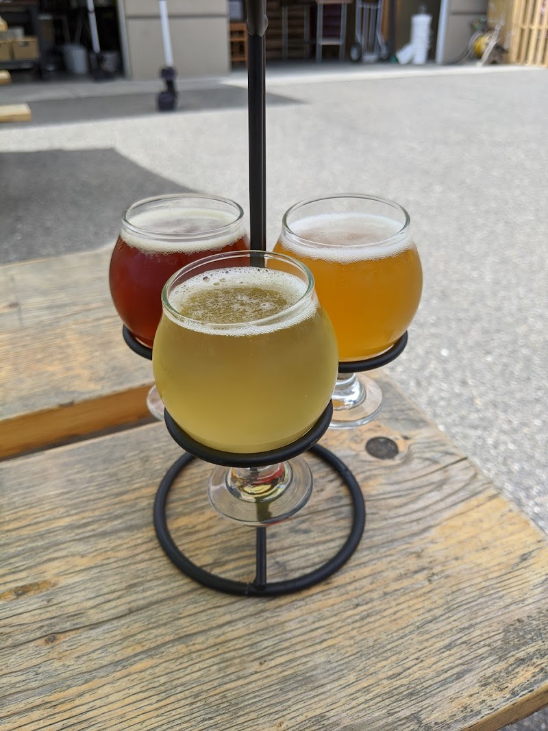 Wild Ambition Brewing 2
